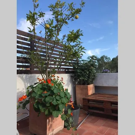 Casita Blanca Con Fibra Optica Y Piscina Cominutaria Holiday home